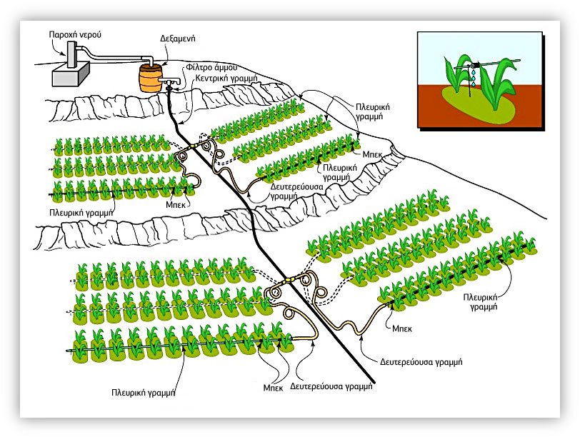 Άρδευση με δεξαμενή 