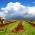 Προετοιμασία εδάφους