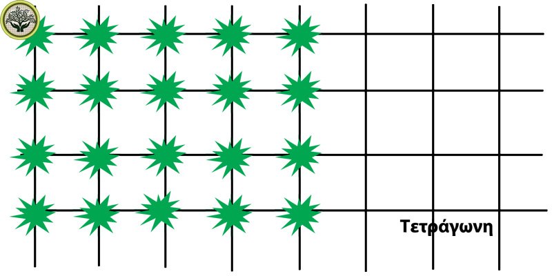 Διάταξη τετράγωνο