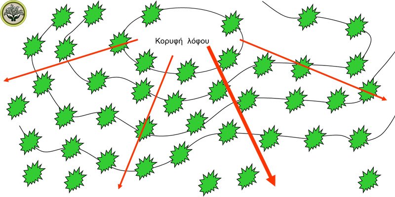 Διάταξη τυχαία