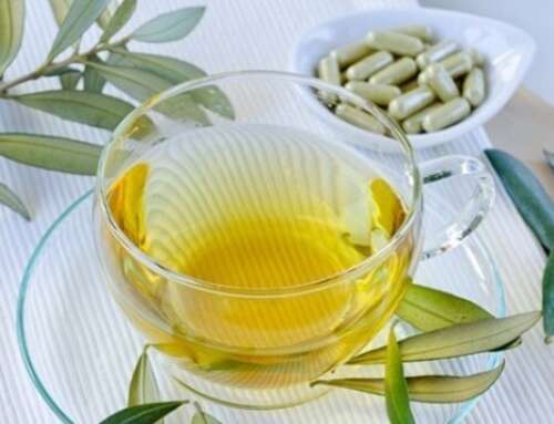 Η ελιά μπαίνει σε κάψουλες καινοτομίας