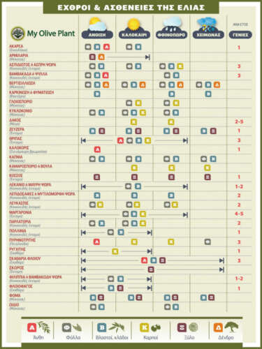 Εχθροί και Ασθένειες της ελιάς